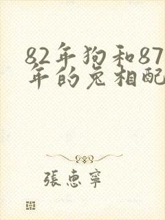 82年狗和87年的兔相配吗