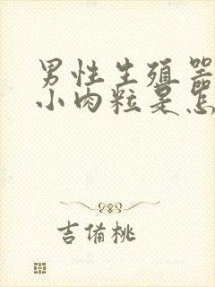 男性生殖器边有小肉粒是怎回事