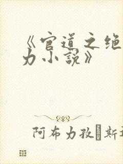 《官道之绝对权力小说》封面