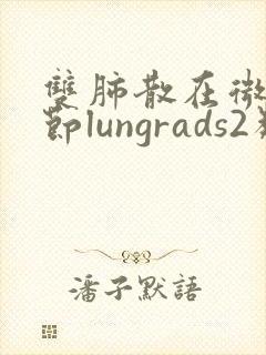 双肺散在微小结节lungrads2类