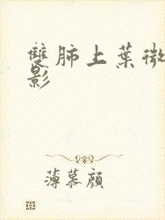 双肺上叶微结节影