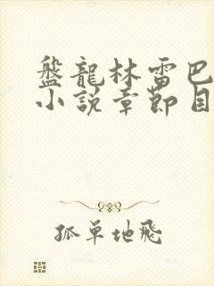 盘龙林雷巴鲁克小说章节目录