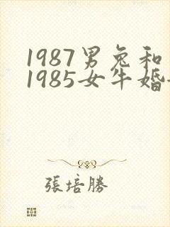 1987男兔和1985女牛婚姻好不好