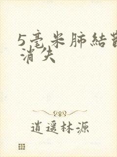 5毫米肺结节会消失