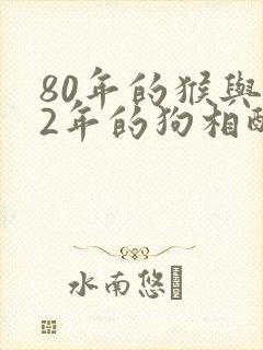 80年的猴与82年的狗相配吗