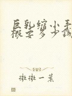 巨乳缩小手术大概要多少钱