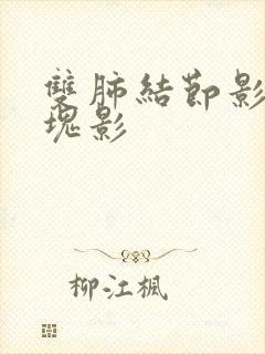 双肺结节影 团块影