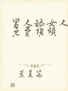 男人舔女人阴户免费视频