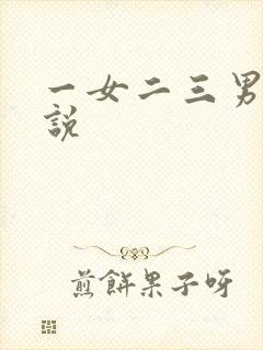 一女二三男事小说