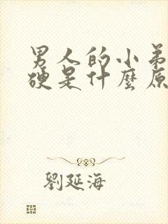 男人的小弟弟不硬是什么原因