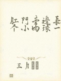 肛门旁边长了一个小肉球一碰就疼