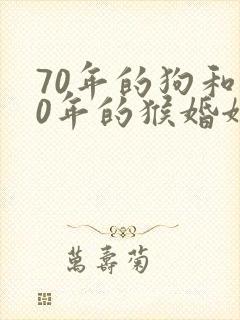 70年的狗和80年的猴婚姻相配吗