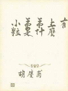 小弟弟上有小肉粒是什么