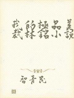 我的极品美女总裁林铭小说免费阅读