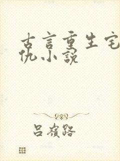 古言重生宅斗复仇小说