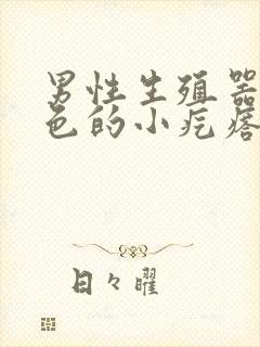 男性生殖器起红色的小疙瘩痒