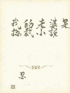 我的老婆是美女总裁小说