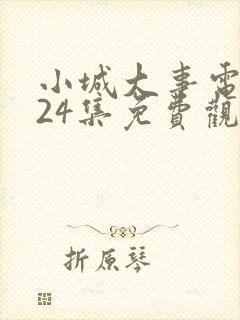 小城大事电视剧24集免费观看