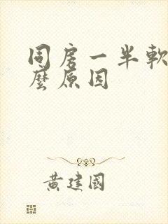 同房一半软了什么原因封面