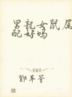 男龙女鼠属相婚配好吗封面