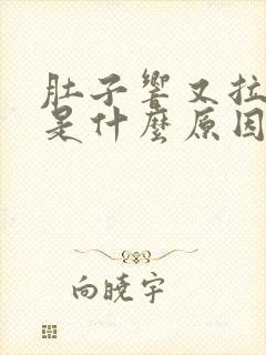 肚子响又拉稀屎是什么原因造成的