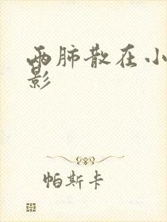 两肺散在小结节影封面