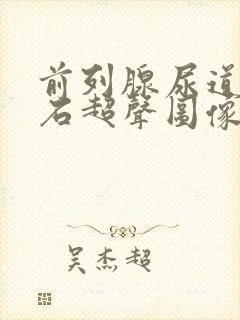 前列腺尿道部结石超声图像封面