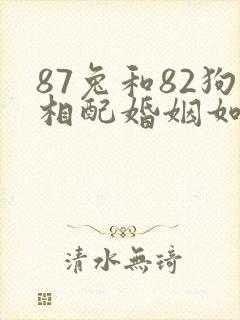 87兔和82狗相配婚姻如何