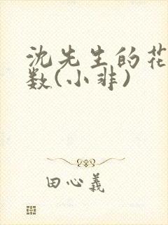 沈先生的花式调数(小非)