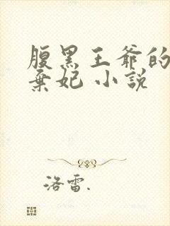 腹黑王爷的天价弃妃 小说