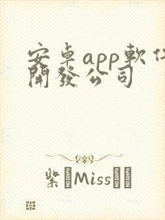 安卓app软件开发公司