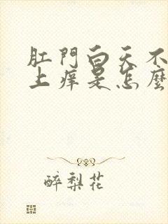 肛门白天不痒晚上痒是怎么治疗