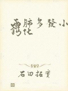 两肺多发小结节钙化