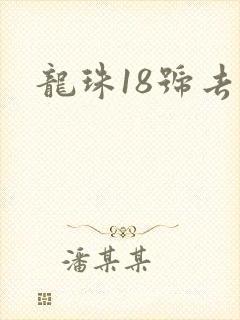 龙珠18号去衣封面