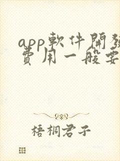 app软件开发费用一般要多钱