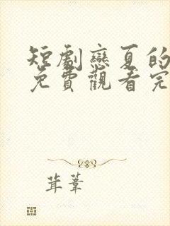 短剧恋夏的故事免费观看完整版