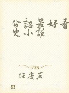 公认最好看的历史小说封面