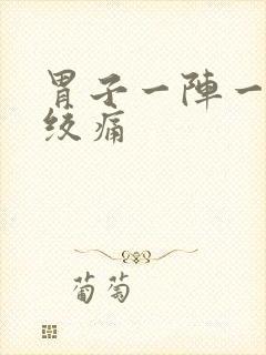 胃子一阵一阵的绞痛封面