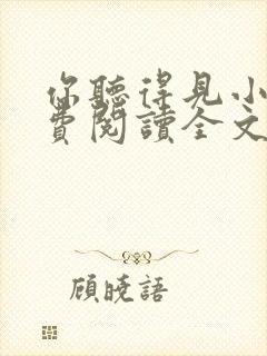 你听得见小说免费阅读全文封面