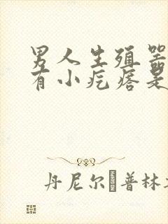 男人生殖器根部有小疙瘩是怎么回事封面