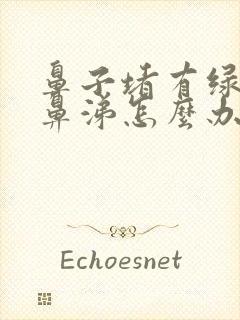 鼻子堵有绿色脓鼻涕怎么办