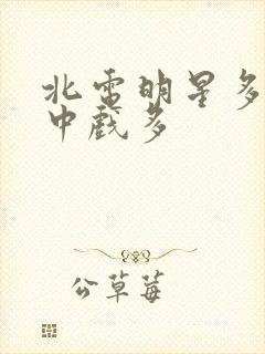 北电明星多还是中戏多