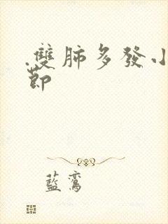 .双肺多发小结节