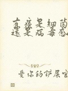 有痰是细菌感染还是病毒感染