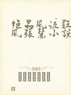 绝品风流狂医林风张慧小说追书