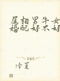 属相男牛女牛的婚配好不好