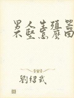 男人生殖器硬起不坚怎么回事