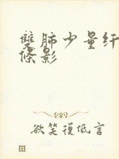 双肺少量纤维索条影