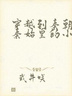 穿越到秦朝帮助秦始皇的小说