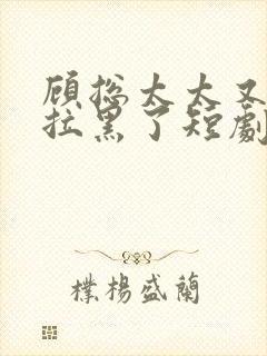 顾总太太又把你拉黑了短剧免费观看全集